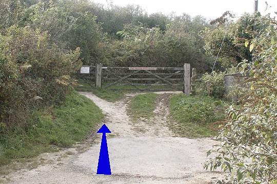 Walk direction photograph: 6 for walk Ballard Down, Studland, Dorset, South West England.