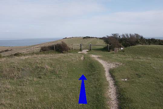 Walk direction photograph: 8 for walk Ballard Down, Studland, Dorset, South West England.