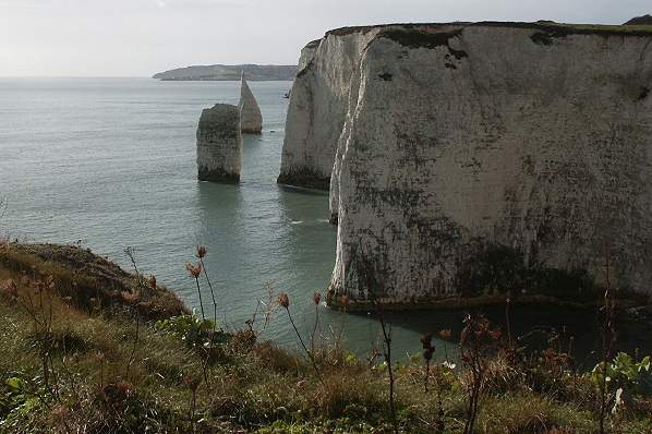 Picture, Photo, View of Studland, Dorset