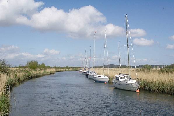 Picture, Photo, View of Wareham, Dorset