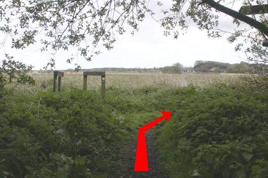 Walking direction photo: 5 for walk River Frome, Wareham, Dorset.