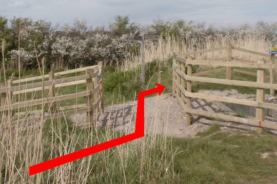 Walk direction photograph: 6 for walk River Frome, Wareham, Dorset, South West England.