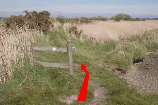 Walking direction photo: 7 for walk River Frome, Wareham, Dorset.