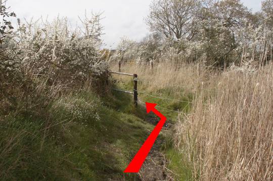 Walk direction photograph: 8 for walk River Frome, Wareham, Dorset, South West England.