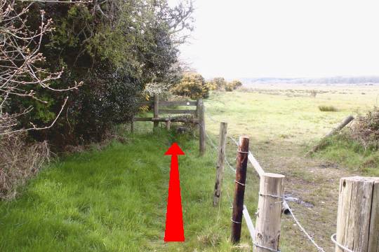 Walking direction photo: 9 for walk River Frome, Wareham, Dorset.