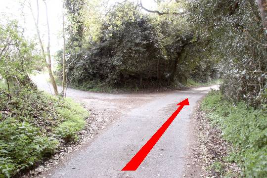 Walking direction photo: 11 for walk River Frome, Wareham, Dorset.