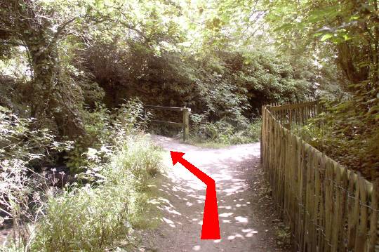 Walking direction photo: 3 for walk Around the Giant, Cerne Abbas, Dorset.