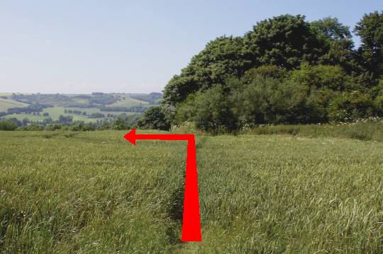 Walking direction photo: 13 for walk Around the Giant, Cerne Abbas, Dorset.