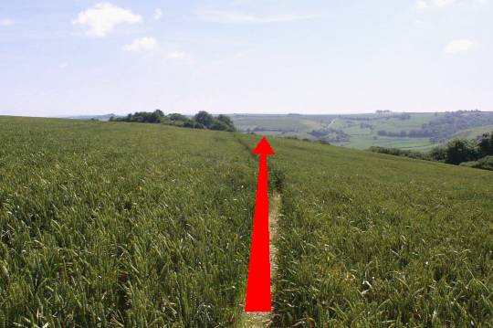 Walk direction photograph: 14 for walk Around the Giant, Cerne Abbas, Dorset, South West England.