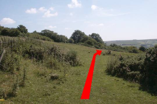 Walking direction photo: 15 for walk Around the Giant, Cerne Abbas, Dorset.