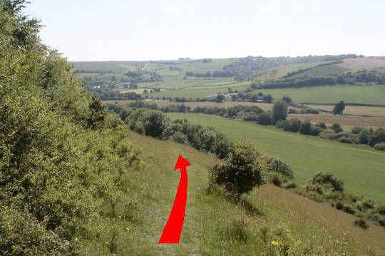 Walk direction photograph: 16 for walk Around the Giant, Cerne Abbas, Dorset, South West England.