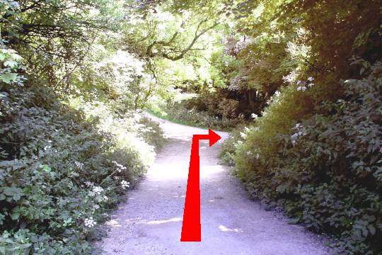 Walk direction photograph: 20 for walk Around the Giant, Cerne Abbas, Dorset, South West England.