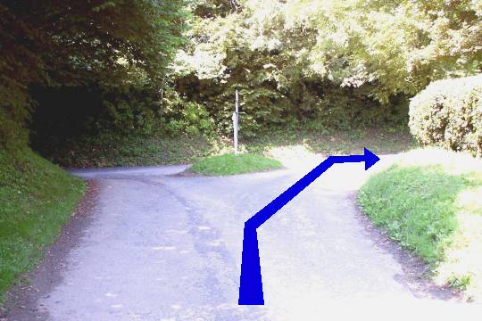 Walk direction photograph: 2 for walk Cerne Park, Cerne Abbas, Dorset, South West England.