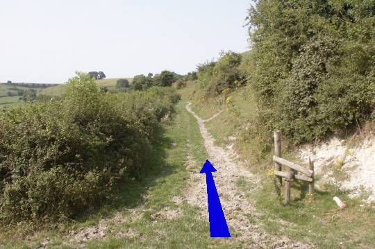 Walk direction photograph: 8 for walk Cerne Park, Cerne Abbas, Dorset, South West England.