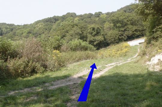 Walking direction photo: 9 for walk Cerne Park, Cerne Abbas, Dorset.