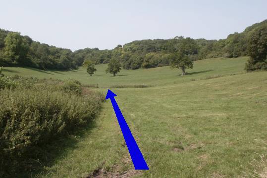 Walk direction photograph: 10 for walk Cerne Park, Cerne Abbas, Dorset, South West England.