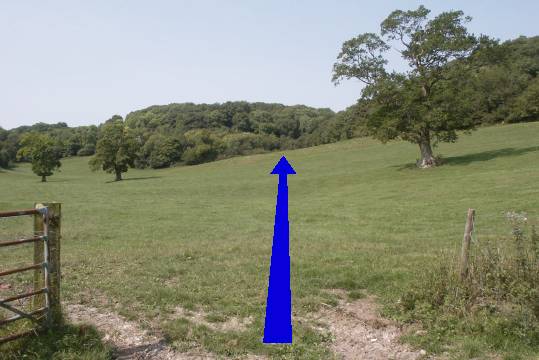 Walking direction photo: 11 for walk Cerne Park, Cerne Abbas, Dorset.