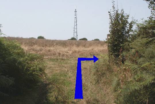 Walking direction photo: 13 for walk Cerne Park, Cerne Abbas, Dorset.