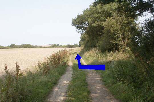 Walking direction photo: 15 for walk Cerne Park, Cerne Abbas, Dorset.