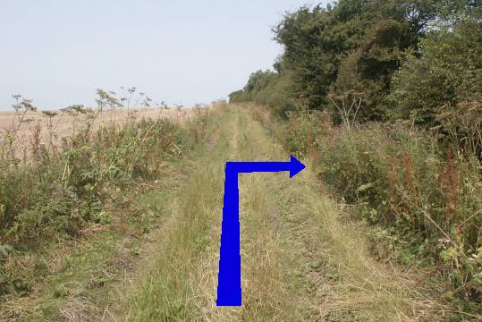 Walk direction photograph: 16 for walk Cerne Park, Cerne Abbas, Dorset, South West England.