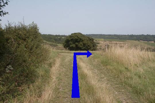 Walking direction photo: 19 for walk Cerne Park, Cerne Abbas, Dorset.