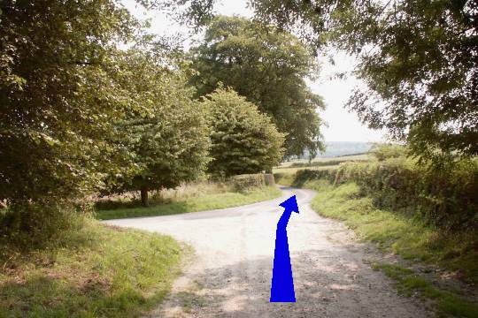 Walk direction photograph: 20 for walk Cerne Park, Cerne Abbas, Dorset, South West England.