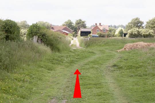 Walking direction photo: 13 for walk Bickton, Fordingbridge, Hampshire.