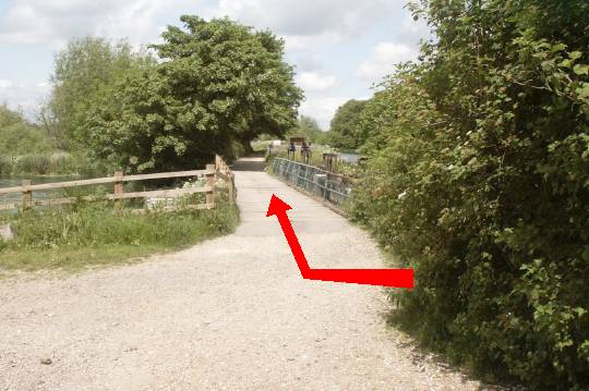 Walking direction photo: 17 for walk Bickton, Fordingbridge, Hampshire.