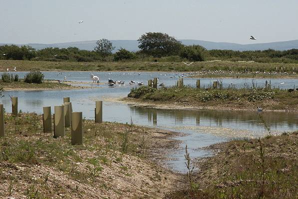 Picture, Photo, View of Keyhaven, Hampshire