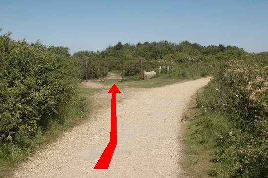 Walking direction photo: 5 for walk To Lower Pennington, Keyhaven, Hampshire.