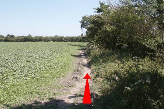 Walking direction photo: 11 for walk To Lower Pennington, Keyhaven, Hampshire.