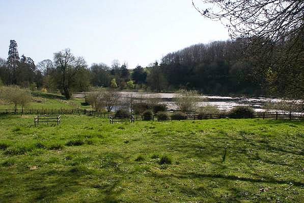 Picture, Photo, View of Milton Abbas, Dorset