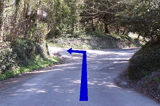 Walk direction photograph: 6 for walk Milton Abbey, Milton Abbas, Dorset, South West England.