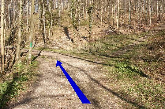 Walk direction photograph: 8 for walk Milton Abbey, Milton Abbas, Dorset, South West England.