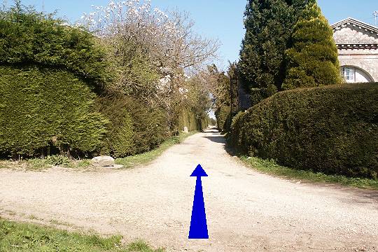 Walking direction photo: 9 for walk Milton Abbey, Milton Abbas, Dorset.