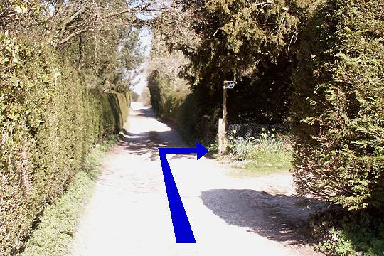 Walk direction photograph: 10 for walk Milton Abbey, Milton Abbas, Dorset, South West England.