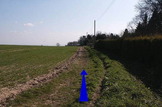 Walking direction photo: 11 for walk Milton Abbey, Milton Abbas, Dorset.