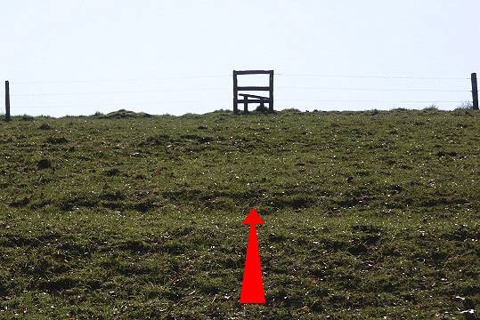 Walk direction photograph: 2 for walk Winterborne Clenston, Milton Abbas, Dorset, South West England.