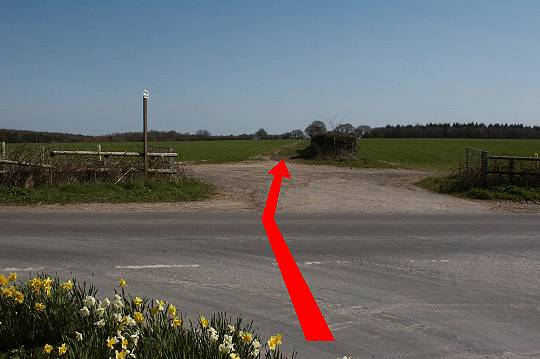 Walking direction photo: 7 for walk Winterborne Clenston, Milton Abbas, Dorset.