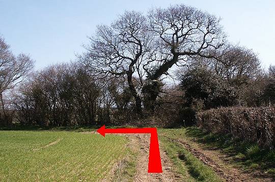 Walk direction photograph: 8 for walk Winterborne Clenston, Milton Abbas, Dorset, South West England.