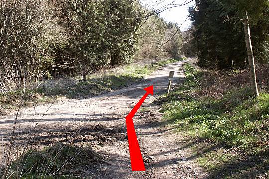 Walking direction photo: 11 for walk Winterborne Clenston, Milton Abbas, Dorset.