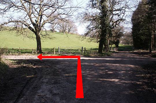 Walk direction photograph: 12 for walk Winterborne Clenston, Milton Abbas, Dorset, South West England.