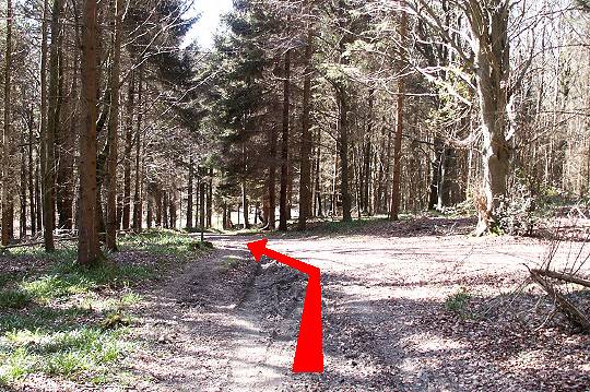 Walk direction photograph: 20 for walk Winterborne Clenston, Milton Abbas, Dorset, South West England.