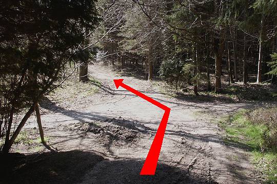 Walking direction photo: 21 for walk Winterborne Clenston, Milton Abbas, Dorset.