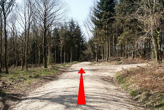 Walk direction photograph: 22 for walk Winterborne Clenston, Milton Abbas, Dorset, South West England.