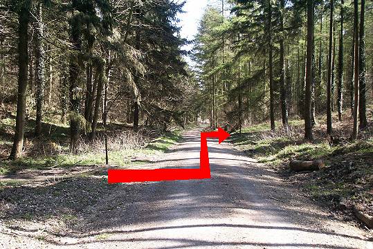 Walk direction photograph: 24 for walk Winterborne Clenston, Milton Abbas, Dorset, South West England.