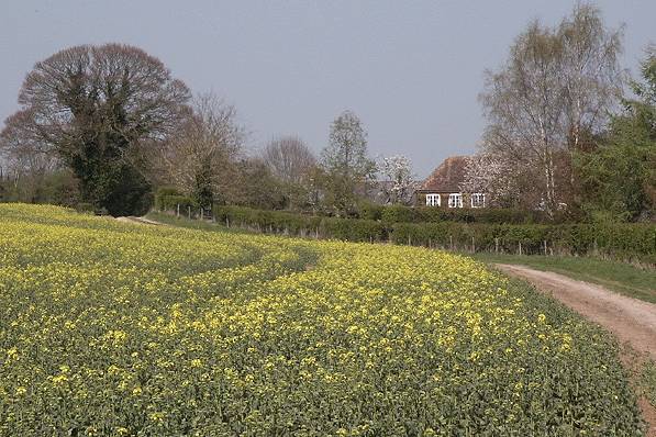 Picture, Photo, View of Old Sarum, Wiltshire