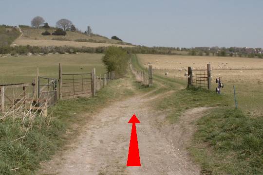 Walk direction photograph: 14 for walk Around the Old Castle, Old Sarum, Wiltshire, South West England.