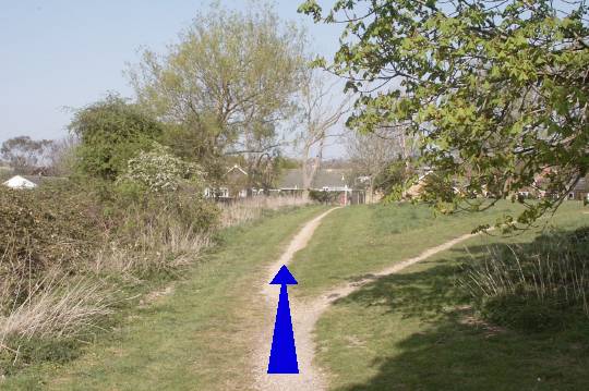 Walk direction photograph: 21 for walk  Towards New Sarum, Old Sarum, Wiltshire, South West England.