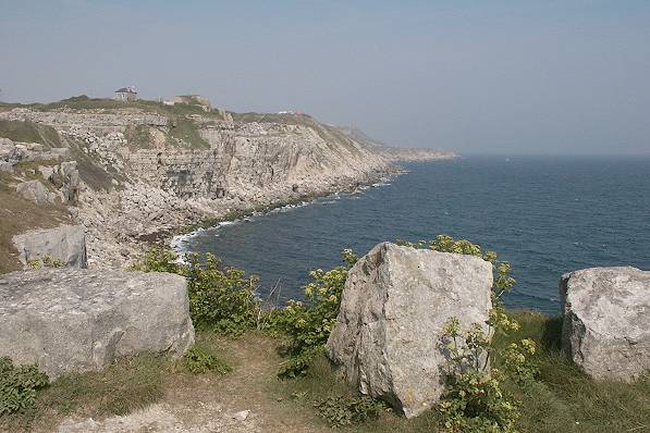 Picture, Photo, View of Portland Bill, Dorset